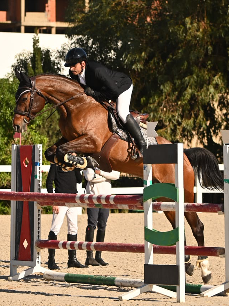 Photographie d’un cheval et de son cavalier en saut d’obstacles utilisée comme référence pour une sculpture sur mesure